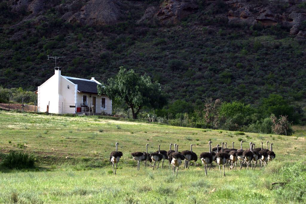 Villa Red Stone Hills Buffelskloof Esterno foto